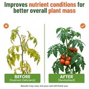 GS Plant Foods Organic Kelp Fertilizer Boost - Seaweed Extract, Plant-Based, OMRI Certified, Concentrated, Easy to Mix, Natural and Organic Solution for Gardens, Lawns, and Soil, 1 Quart, Liquid.
