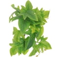 thumbnail image 1 of IDEANATEGRATE De Planta Simulada Para De Reptil Y Acuario Con Hojas Naturales, 1 of 7