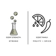 thumbnail image 5 of True Hue Reed Diffuser - Bergamot + Black Tea (2-3 Month Usage, Premium Fragrances, 8 Rattan Reeds), 5 of 5