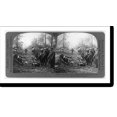 thumbnail image 2 of Historic Framed Print, Americans escorting German prisoners to the rear, Meuse-Argonne, 17-7/8" x 21-7/8", 2 of 9