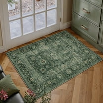 BERTHMEER 2'x3' Small Green Area Rugs for Bathroom Entryway Bedroom Kitchen Dorm Entrance Non Slip Washable Vintage Traditional Oriental Accent Distressed Rugs