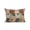 Light Gray Orange White, variant on Waterproof Outdoor Throw Pillows with Inserts 12"x20", Burnt Orange Grey Black Flower Soft Decorative Pillowcases for Couch Bedroom, Spring Floral Botanical Pillow Covers for Sofa Living Room