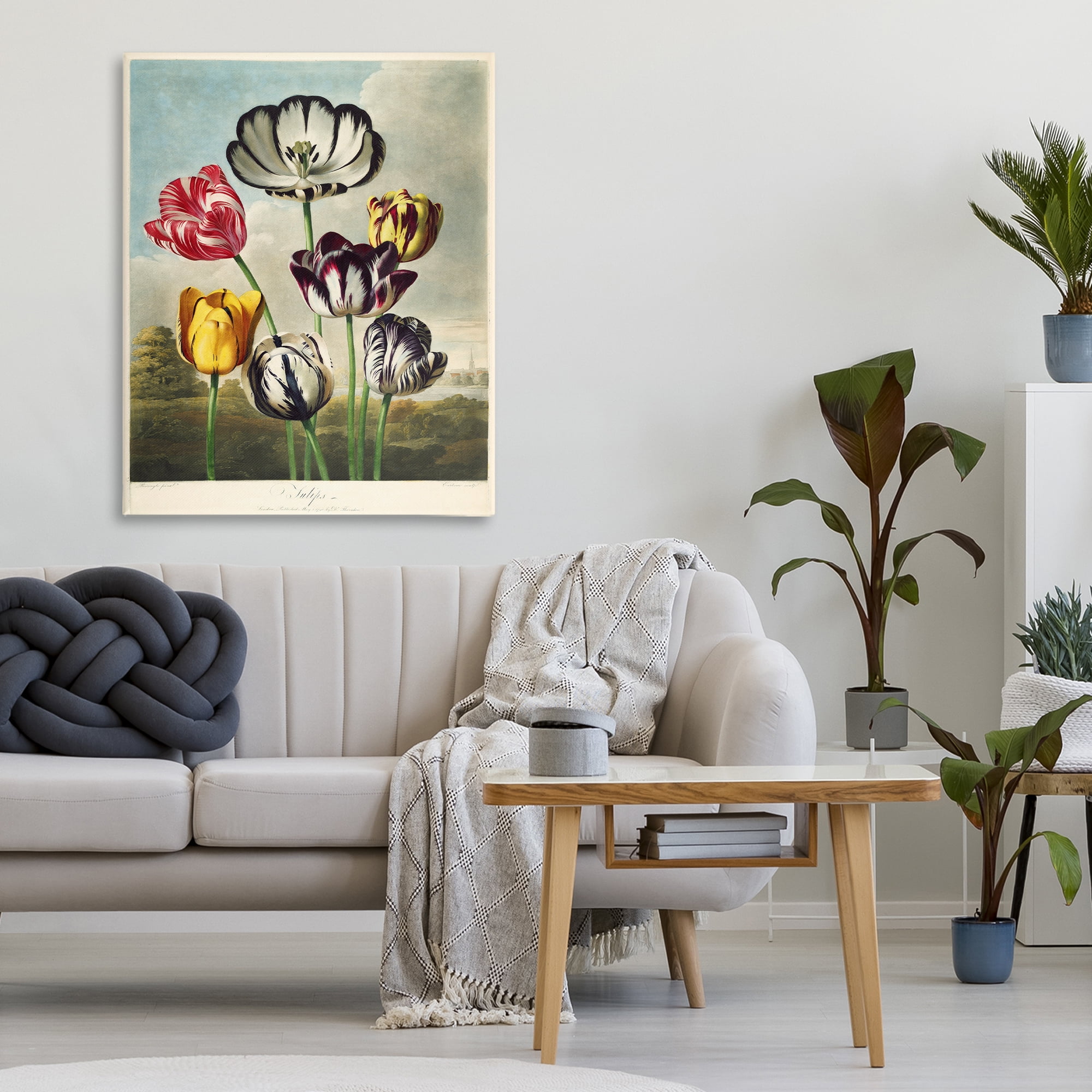 Stupell Industries Tulips From The Temple Canvas Wall Art, design by Print Collection
