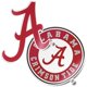 thumbnail image 1 of Adhesivo De Vinilo De La Universidad De Alabama De Desert Cactus Roll Tide Bama Crimson Tide Vinilo Adhesivo Para Portátil Botella De Agua Coche Álbum De Recortes (Juego De 4 Pulgadas V1), 1 of 5