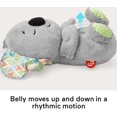 thumbnail image 3 of Juguete de peluche, calma y acurruca con forma de koala, 3 of 3