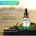 thumbnail image 2 of Aceite Cyperus Rotundus Natural para el Crecimiento del Cabello y la Salud de la Piel, 2 of 8