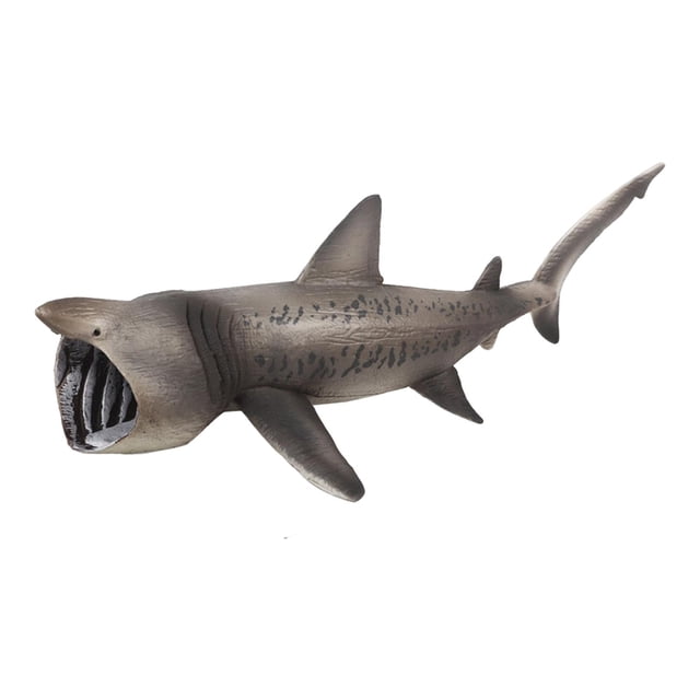 Basking sharks Model ,Science Educational Toy ,marine Animal Figurines Toy ,Model Collection Playset, Marine Figures Toy, for Teaching Decorations