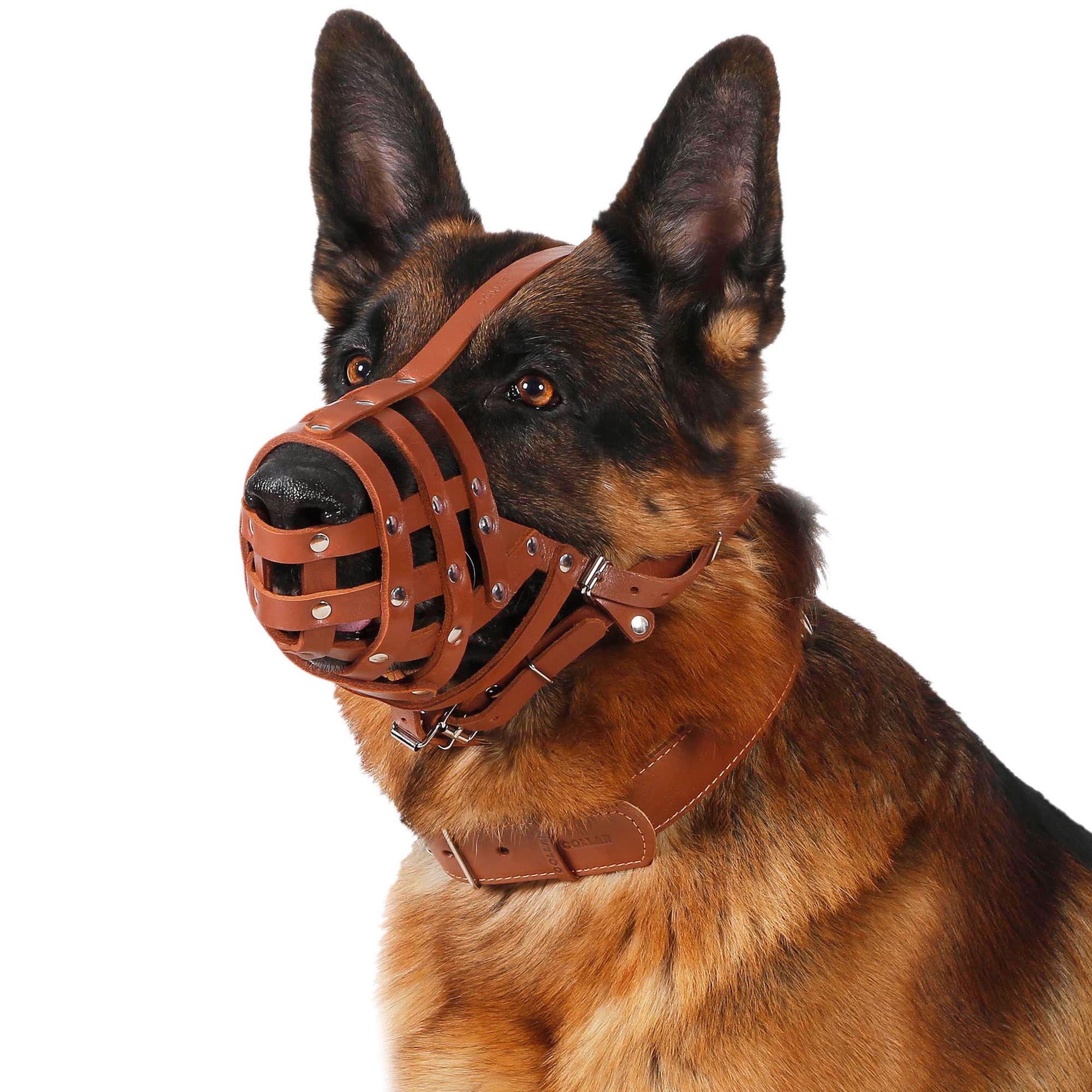 doberman basket muzzle