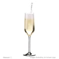 thumbnail image 4 of Vino Espumoso Cune Cava 750 ml, 4 of 4