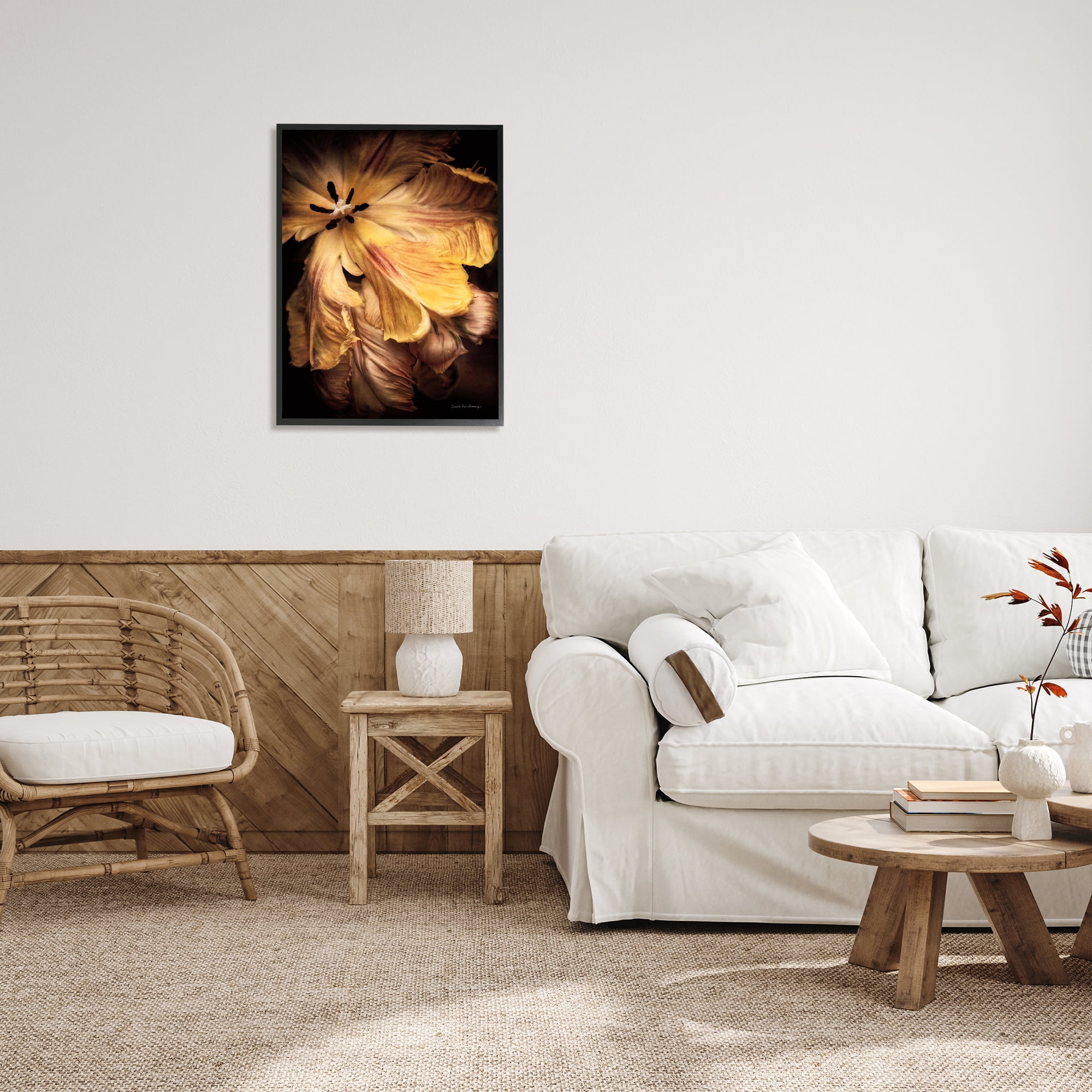 Stupell Industries Modern Hibiscus Photography Botanical & Floral Photography Black Framed Art Print Wall Art, 24 x 30