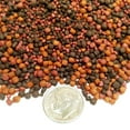 thumbnail image 3 of 12-Type Floating & Sinking Blackworm & Intense Coloring 1mm, 2mm, 3mm Pellets for Discus, Cichlids, All Tropicals, Koi and Pond Fish…4-lb & 8oz Lg Jar, 3 of 3
