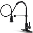 thumbnail image 1 of Grifo de cocina OWOFAN de acero inoxidable negro con pulverizador desplegable, 1 of 9