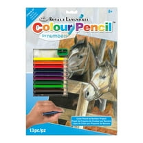 CPN16 | Colour Pencil by numbers™ 13pc 8.75" x 11.75" Buck's Pal Project