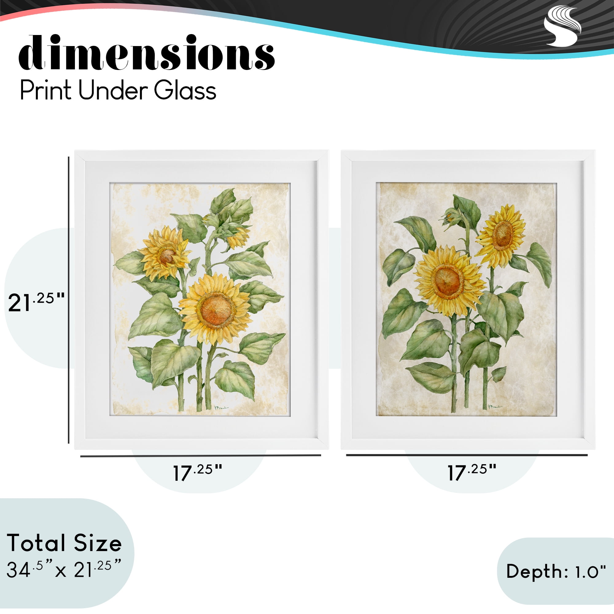 Stupell Industries Floral Journal Sunflower Studies 2 Piece White Framed Print Under Glass Set, design by Paul Brent