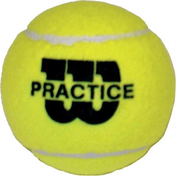 Olympia Sports BA456P Wilson Practice Tennis Balls