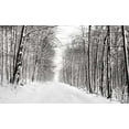 thumbnail image 2 of McLoughlin, James 14x10 Gold Ornate Wood Framed with Double Matting Museum Art Print Titled - A Snowy Walk III, 2 of 4
