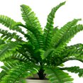 thumbnail image 5 of Northlight Boston Fern Artificial Potted Plant - 24", 5 of 6