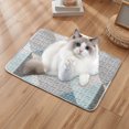 thumbnail image 1 of TIMIFIS Cat Pet Supplies Dog Sleeping Mat For Dogs Dog Kennel Mat Sleeping Mat Pet Mat Pet Kennel Dog Crate Mats Soft Kennel Pads Washable With Bottom Dog Kennel PadsFall/Winter, 1 of 6