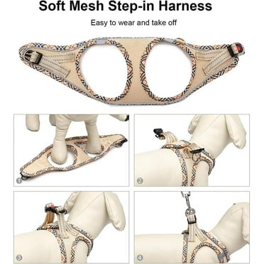 PetSafe Easy Walk Dog Harness and Leash Set - No Pull, Reflective, Step-in Vest Harness for Small Dogs, Cats (Beige, XS)