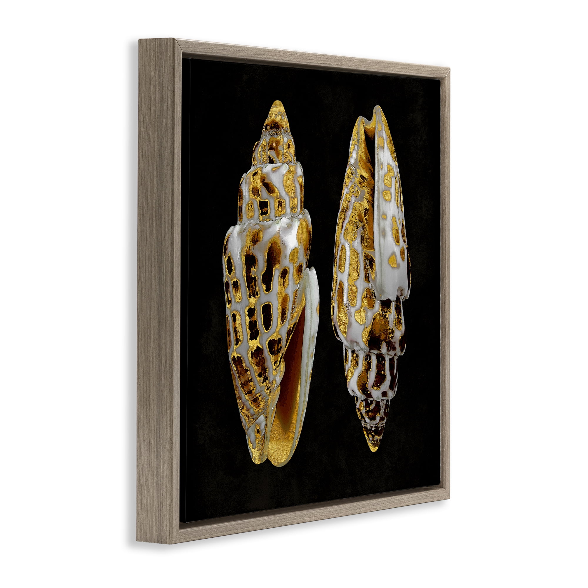 Stupell Industries Spotted Cowrie Shells Nautical & Beach Painting Brown Floater Framed Canvas Art Print Wall Art, 18 x 18