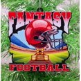 thumbnail image 1 of Fantasy Football Ornament, 1 of 1