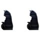 thumbnail image 1 of Cateissary Estante de negro de moda para exhibición y almacenamiento con estilo, estante de almacenamiento, elementos esenciales para Type2 NO2, 1 of 6