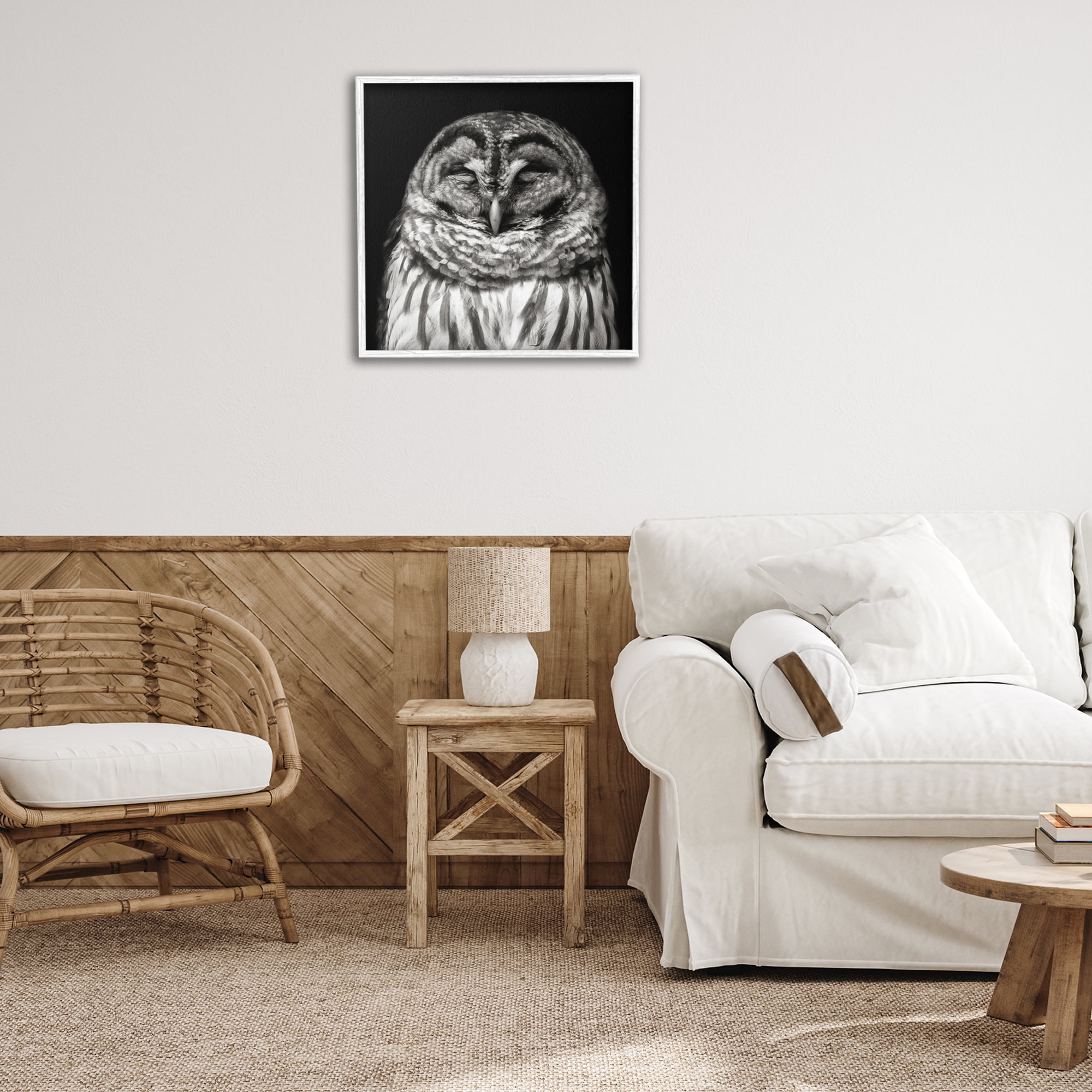 Stupell Industries Sleeping Owl Portrait Animals & Insects Photography White Framed Art Print Wall Art, 24 x 24