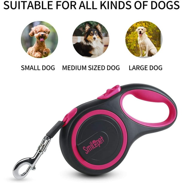 Anti bite dog best sale leash