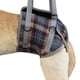 thumbnail image 3 of Cinturón auxiliar para perros, arnés de elevación para perros, eslinga de asistencia profesional para perros, eslinga de soporte para elevación de perros, tecnología avanzada, 3 of 8