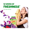 thumbnail image 5 of Gain Ultimate Scent Lovers Laundry Bundle with Gain Moonlight Breeze Liquid Laundry Detergent, In-Wash Scent Booster Beads, Liquid Fabric Softener, and Dryer Sheets, 5 of 17