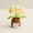 birthday decor, variant on memade Crocheted Plant Pot, Creative Knitted Flower Pot With Cute Positive Encouragement Tag, Desk Bedroom Decor Birthday Gift