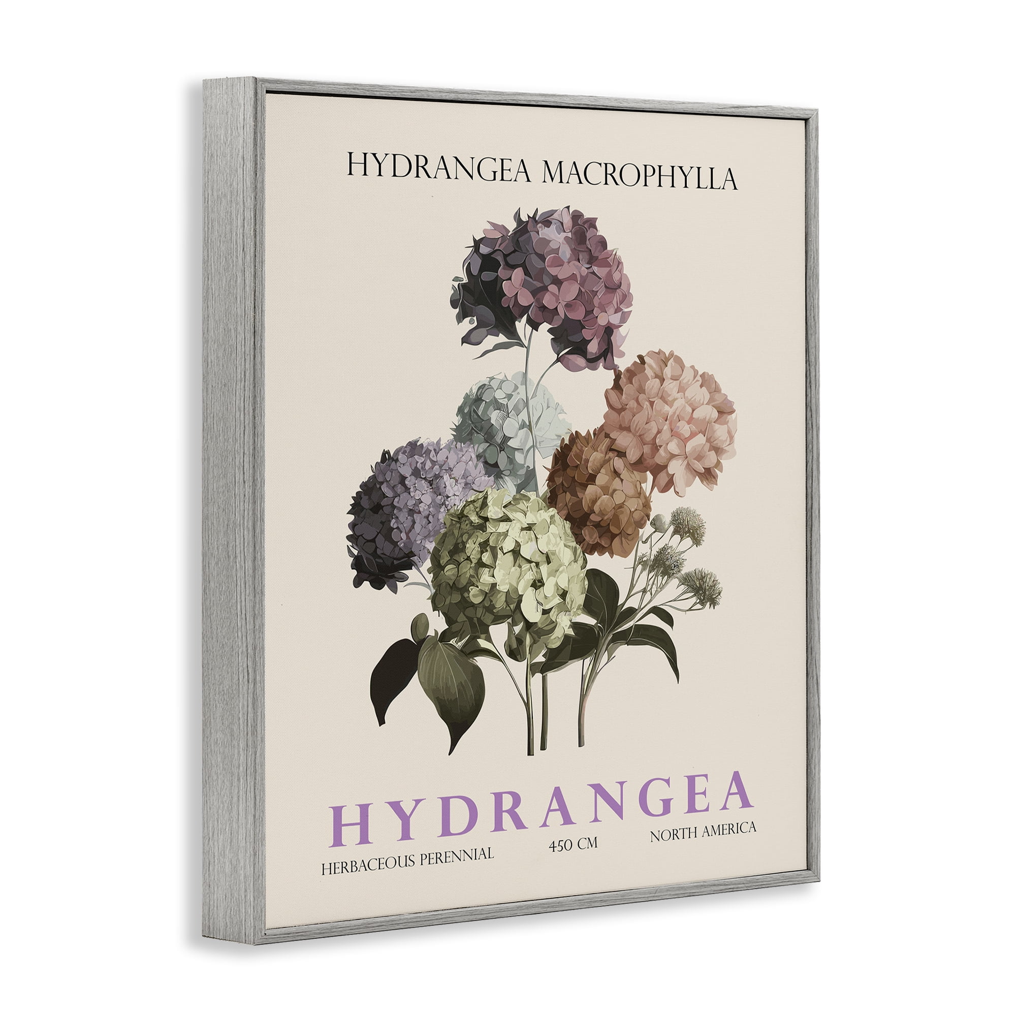 Stupell Industries Nature Hydrangea Bundle Gray Framed Giclee Art, design by Christopher Giampietro