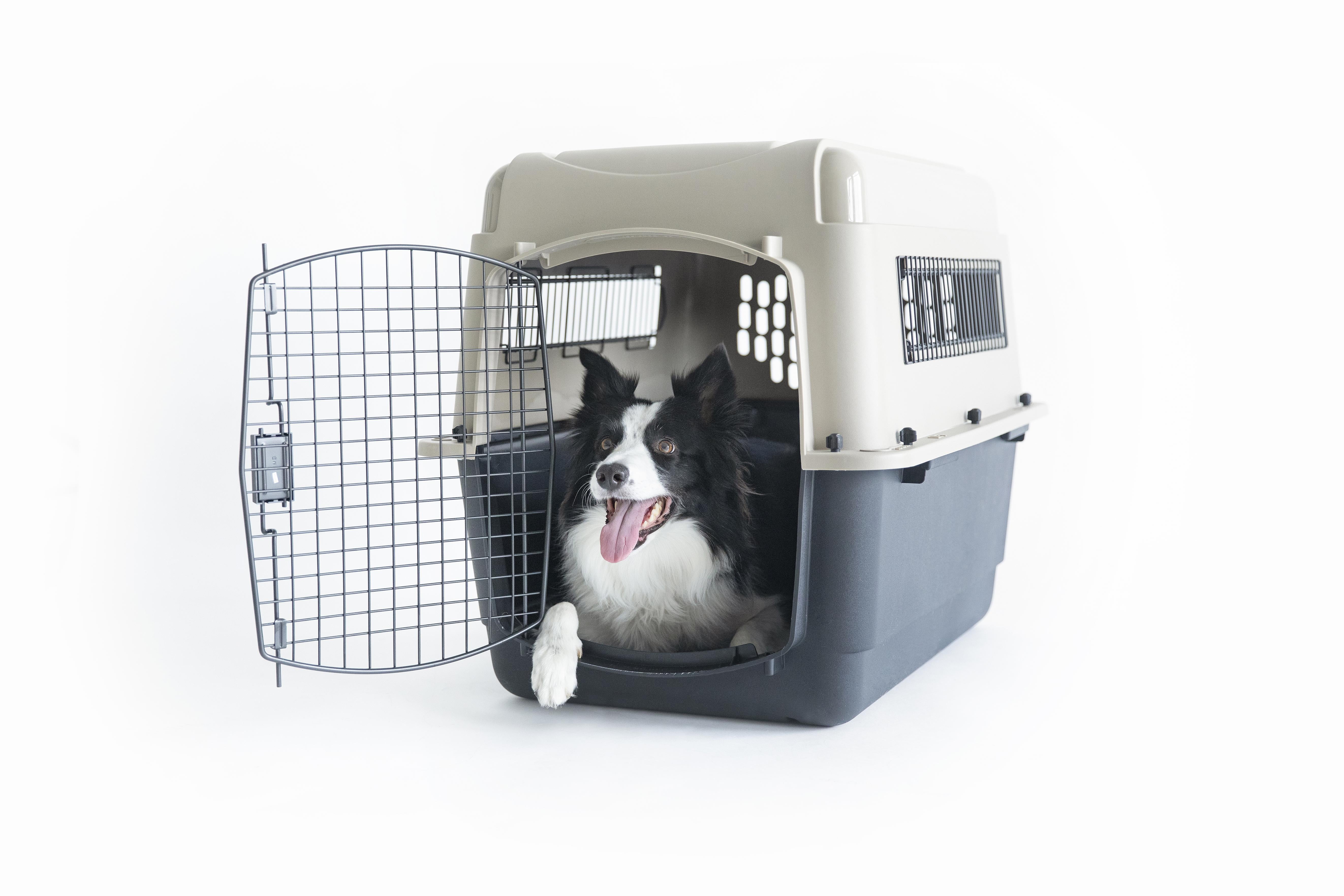 f27ccdcf-06d7-4b0d-8e5f-