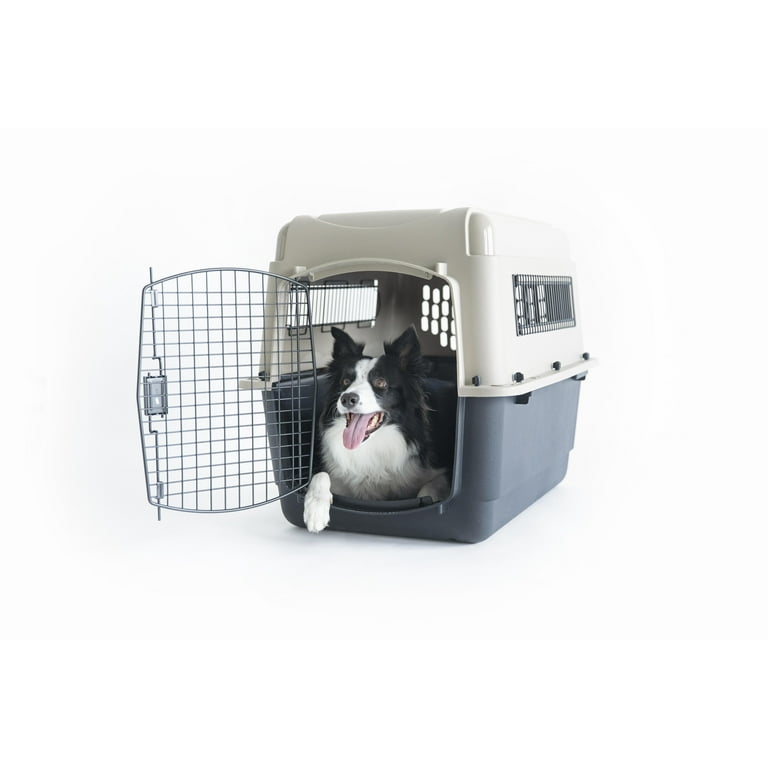 Petmate® Ultra Vari Plastic Travel Dog Kennel 32