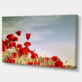 thumbnail image 2 of Flourishing Red Poppies - Floral Canvas Art Print, 2 of 3