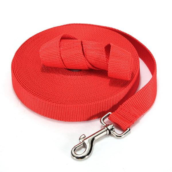 25 foot leash Clearance