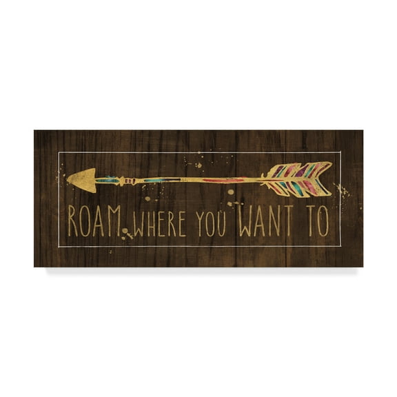 Trademark Fine Art 'Beautiful Arrows IV on Wood' Canvas Art by Pela Studio