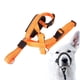 thumbnail image 4 of Bozal para perro con cuello de cabeza bozal ajustable resistente a los tirones para cabeza de perro para caminar ANGGREK  Otros, 4 of 8
