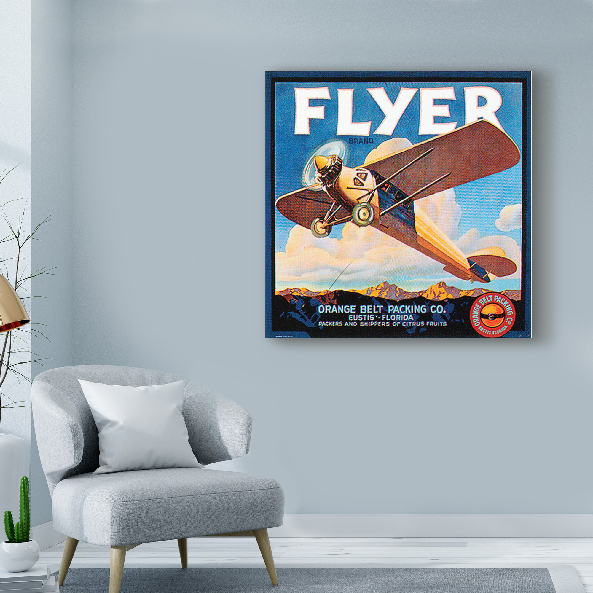 Trademark Fine Art 'Flyer' Canvas Art by Vision Studio