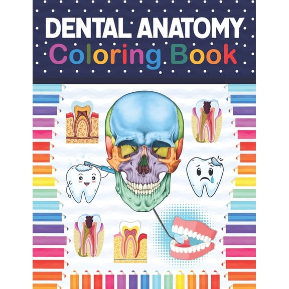 Dental Anatomy Coloring Book: Fun and Easy Adult Coloring Book for Dental Assistants, Dental Students, Dental Hygienists, Dental Therapists, Periodontists and Dentists. Essential of Dental Assisting.