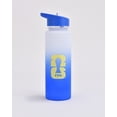 thumbnail image 1 of FIFA World Cup 2026 22 oz Argentina Peformance Insulated Water Bottle, 1 of 3
