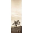 thumbnail image 2 of Blaustein, Alan 7x14 White Modern Wood Framed Museum Art Print Titled - Sentinel Oak Tree, 2 of 4
