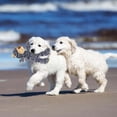 thumbnail image 5 of DAMAI Indestructible Robust Bear for Aggressive Chewers, Durable Squeaky Toys for Heavy Chewers, Interactive Dog Toy Unbreakable Stuffed Plush for Small, Medium Sized Dogs, 5 of 7