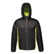 thumbnail image 1 of Regatta - Chaqueta Lake Placid para Hombre (Negro, Cáscara Lima) Regatta UTRG3555_blacklimezest, 1 of 1