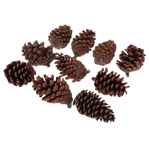 10 piezas de adorno colgante de piña de Navidad para regalo colgante de Navidad C 6-8 cm