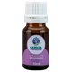 thumbnail image 1 of Aceite Puro DE Lavanda Caricia Aromática 10ml, 1 of 3
