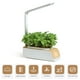 thumbnail image 2 of Jardinera más inteligente Irfora Sistema de cultivo hidropónico, kit de jardín de hierbas para interiores con luz de crecimiento, jardín inteligente para el hogar y la cocina, sistema de cultivo de p, 2 of 7