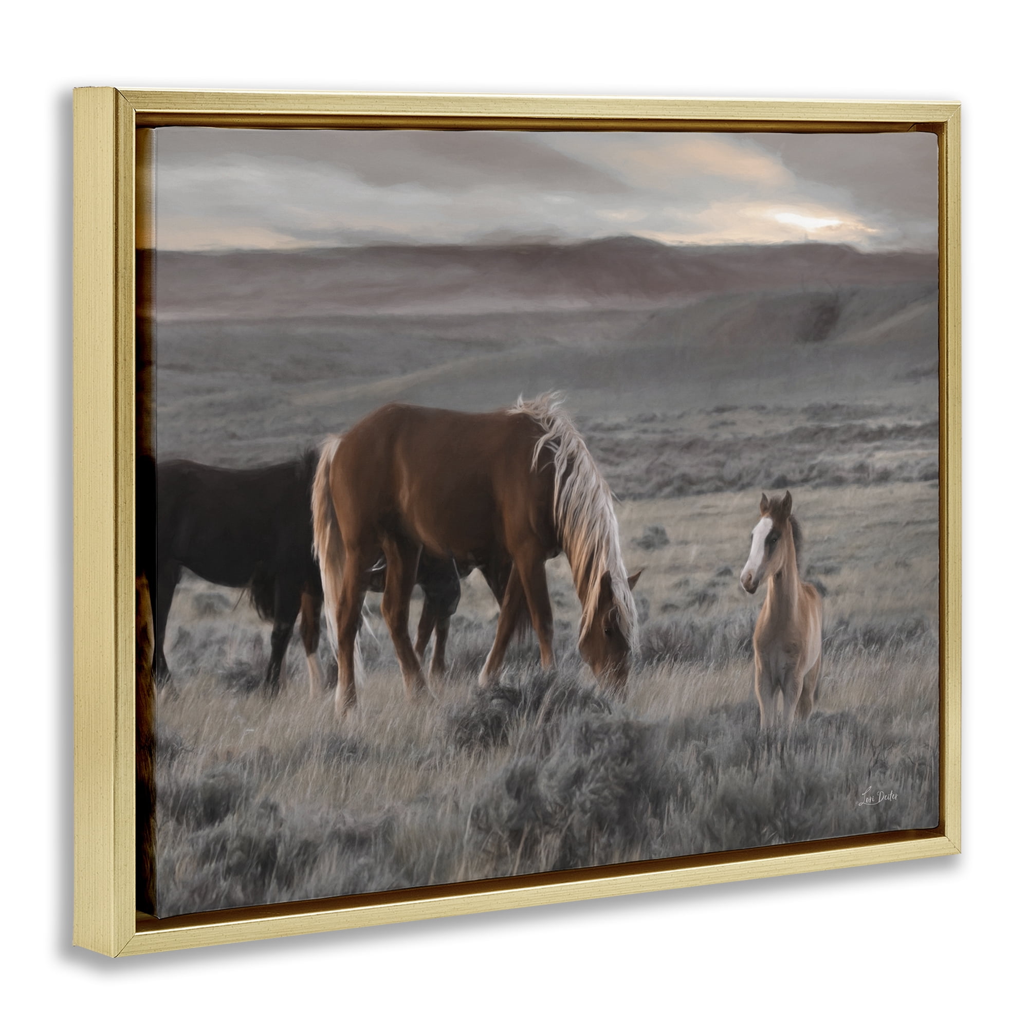 Stupell Industries Country Horses in Valley Animals Photography Gold Floater Framed Canvas Art Print Wall Art, 21 x 17
