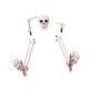 thumbnail image 5 of Estacas de esqueleto para decoración de Halloween, estacas de terror para Halloween, accesorios de ambiente para jardín, patio exterior, 5 of 8