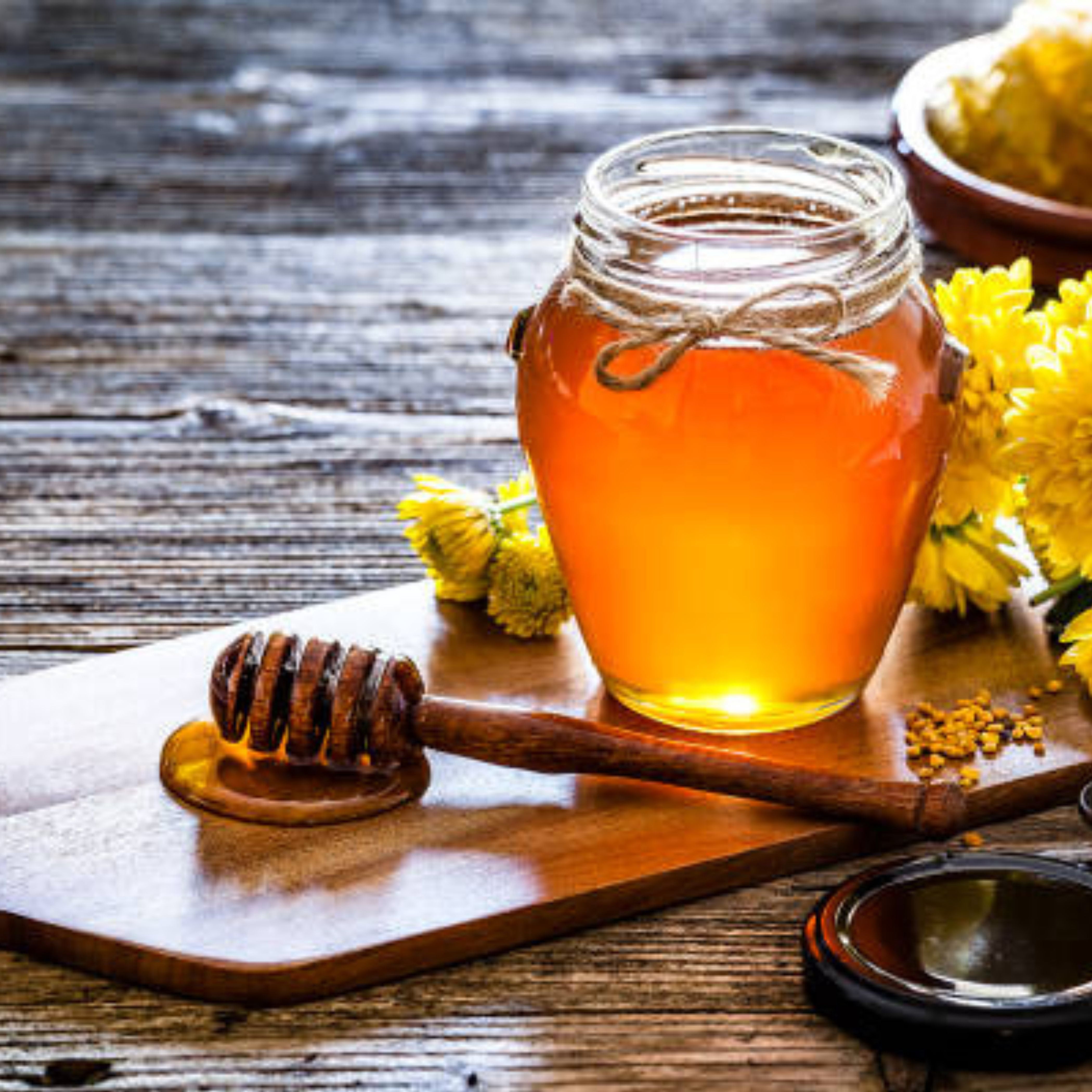 Pure Honey Packets – 50 Count, 0.5 oz Each, Single Serve, Kosher, Bulk Travel-Size Honey for Tea, Coffee, Snacks & Food Service